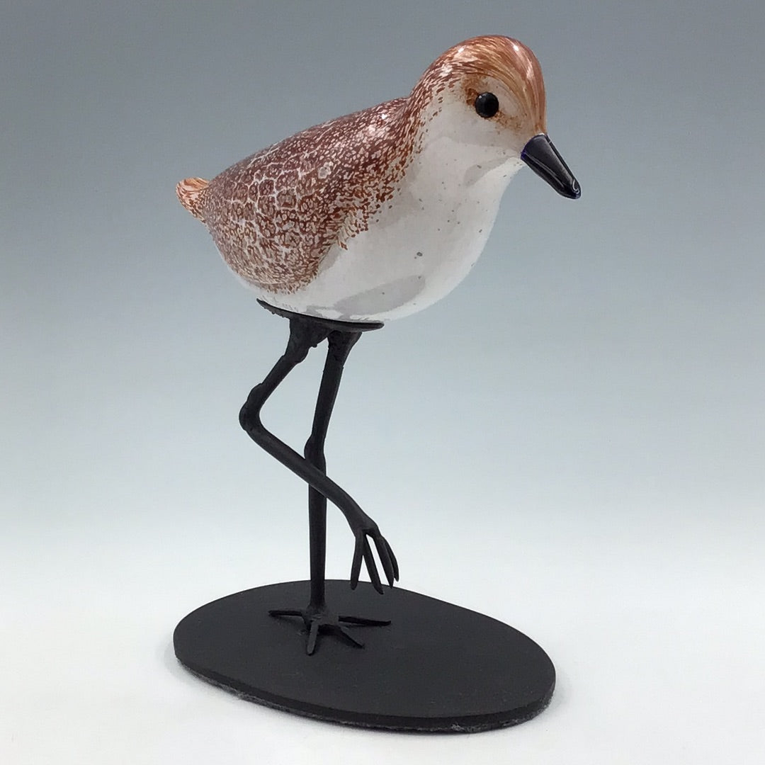 Sandpiper