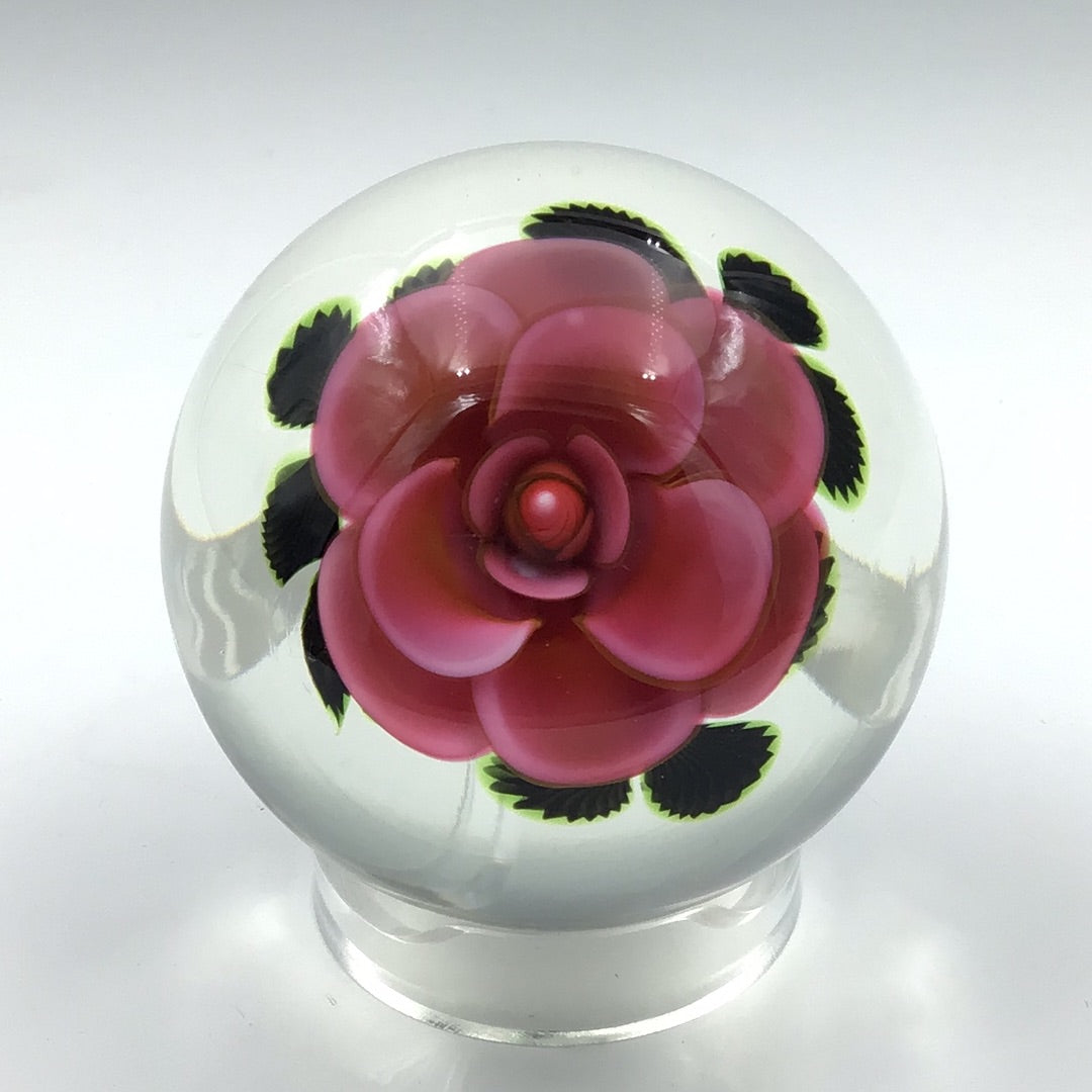 Paperweights – Orient & Flume Art Glass